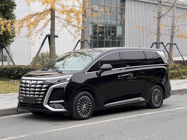 Фото 1 - Denza D9