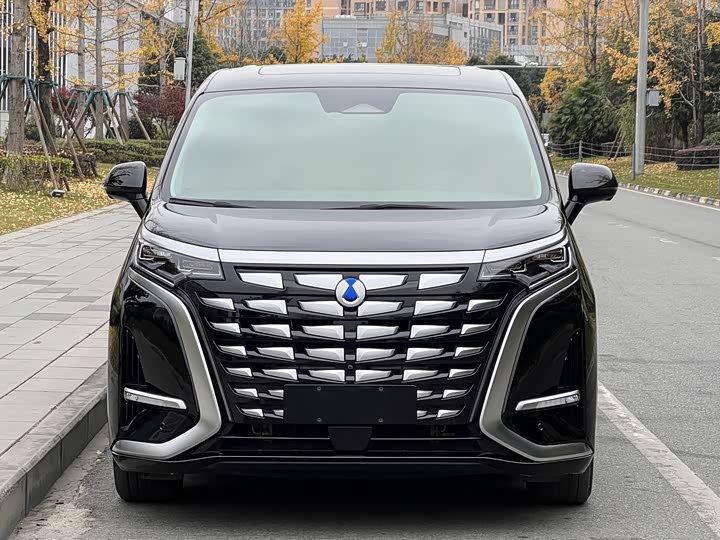 Фото 2 - Denza D9