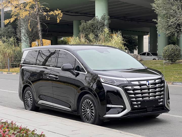 Фото 3 - Denza D9