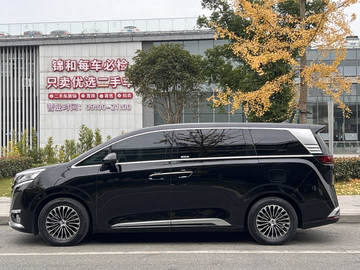 Фото 4 - Denza D9