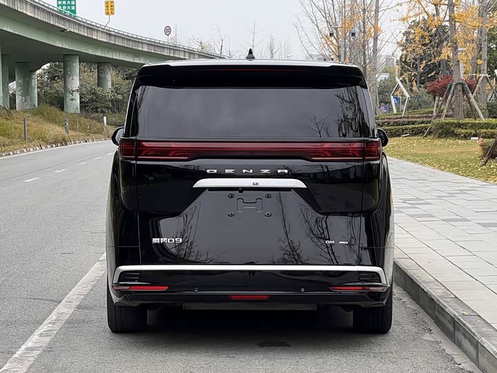 Фото 6 - Denza D9