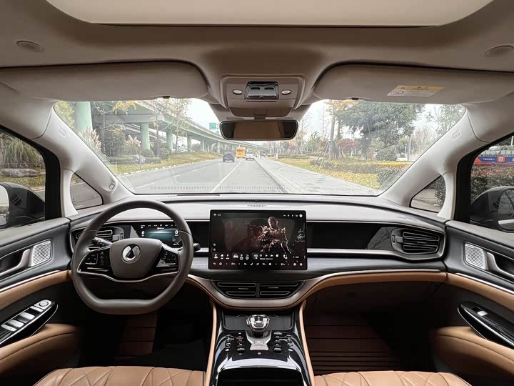 Фото 8 - Denza D9