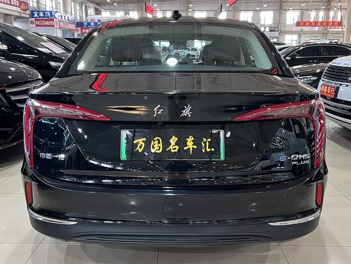 Фото 4 - Hongqi E-QM5