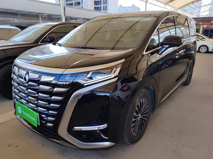 Фото 1 - Denza D9