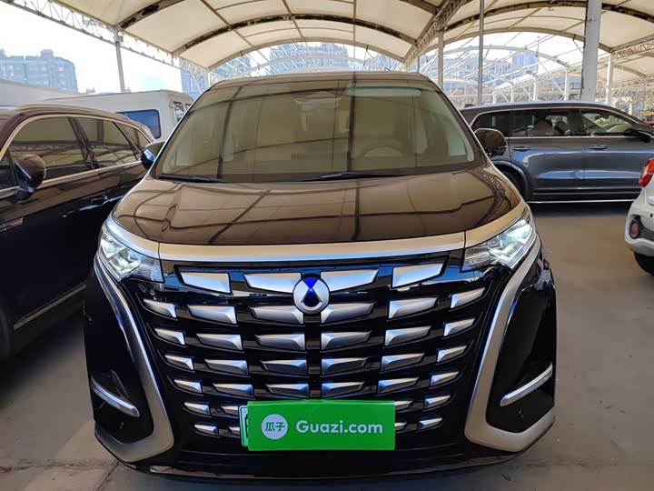 Фото 3 - Denza D9