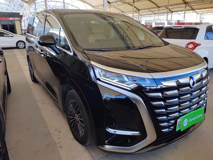 Фото 4 - Denza D9