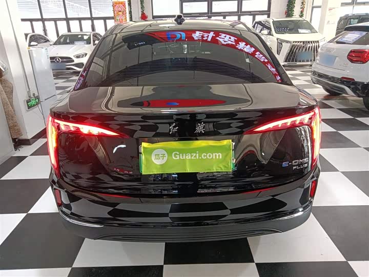 Фото 6 - Hongqi E-QM5