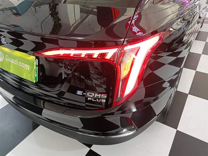 Фото 8 - Hongqi E-QM5