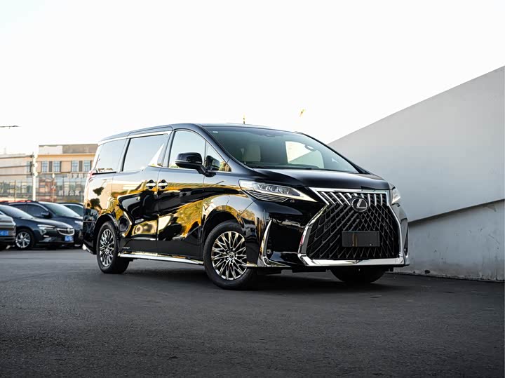 Фото 3 - Lexus LM