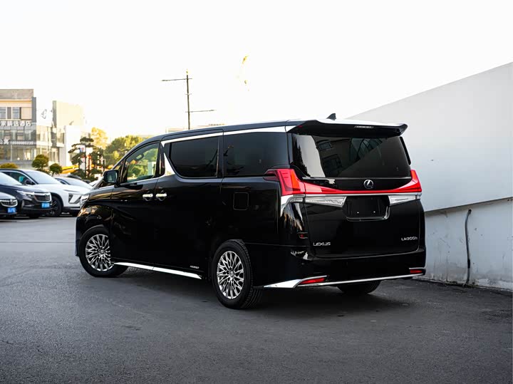 Фото 4 - Lexus LM