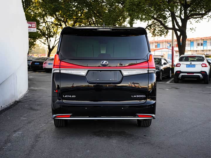 Фото 6 - Lexus LM
