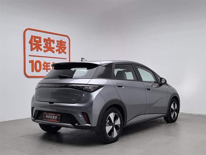 Фото 2 - BYD Dolphin