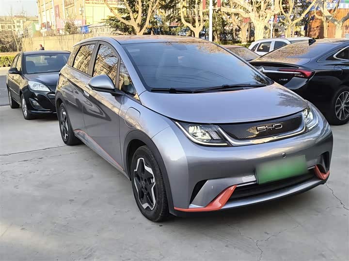 Фото 4 - BYD Dolphin