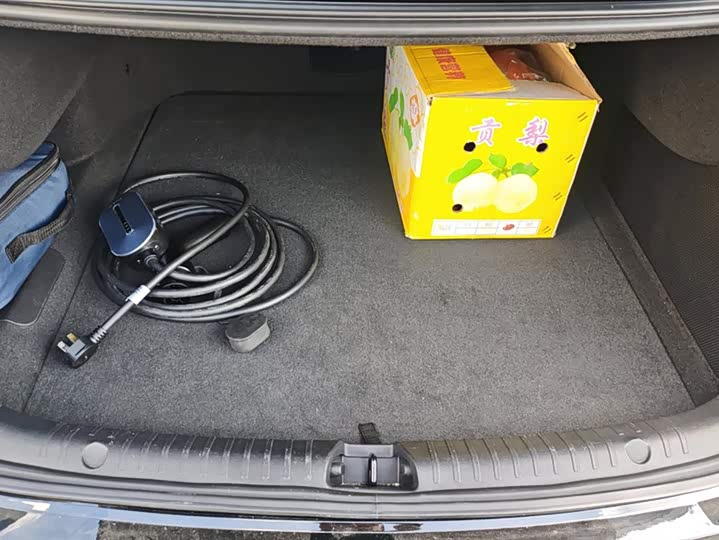 Фото 4 - BYD Han