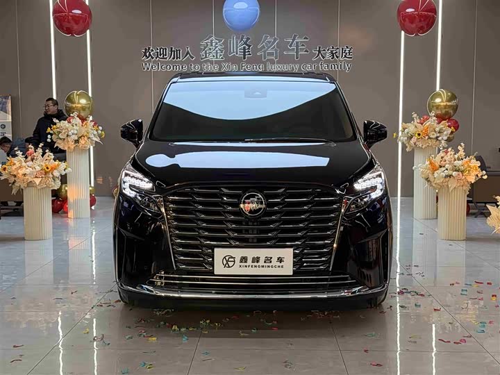 Фото 2 - Buick GL8 ES