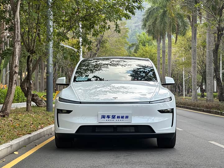 Фото 4 - Tesla Model Y