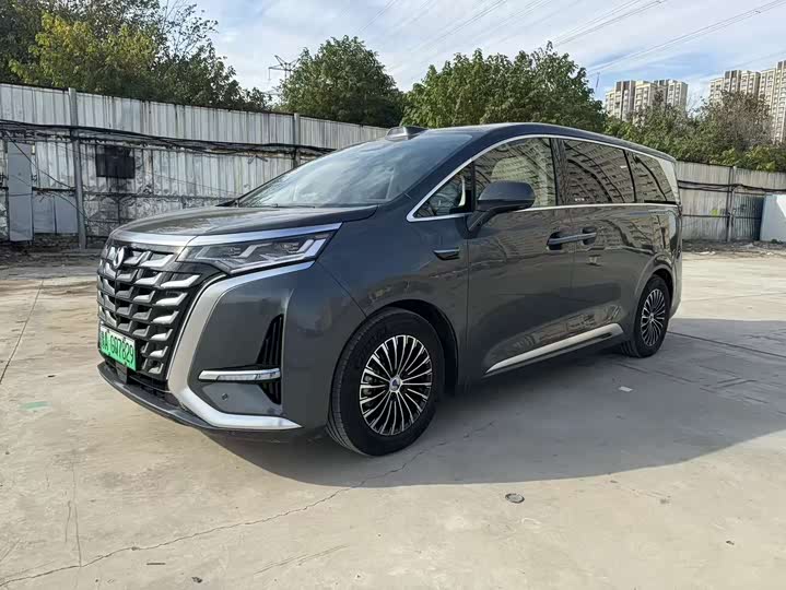 Фото 2 - Denza D9