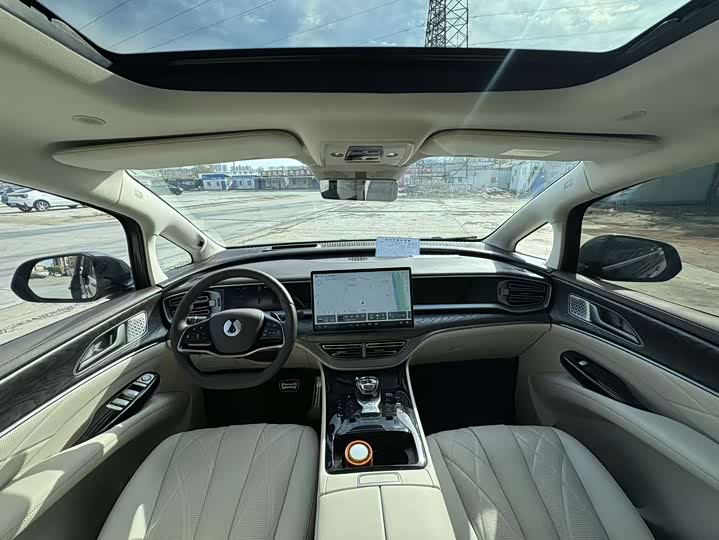 Фото 5 - Denza D9