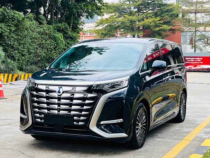 Фото 1 - Denza D9