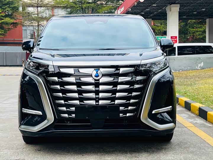 Фото 2 - Denza D9