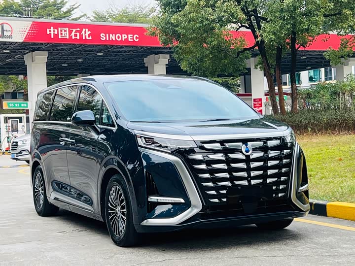 Фото 3 - Denza D9