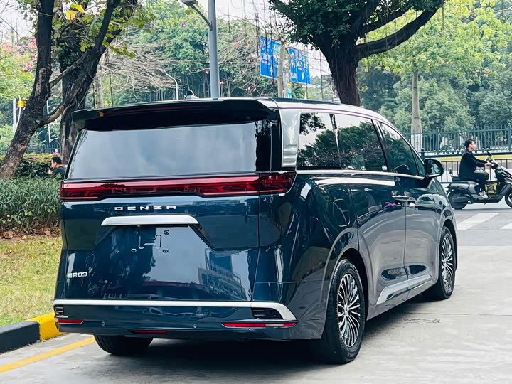 Фото 4 - Denza D9