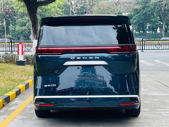 Фото 5 - Denza D9