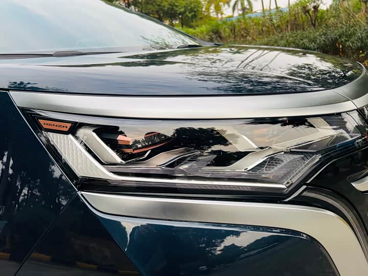 Фото 8 - Denza D9