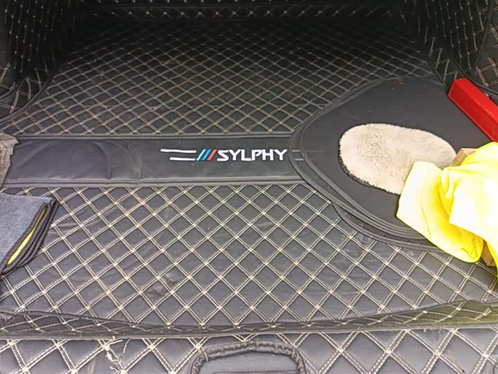 Фото 4 - Nissan Sylphy