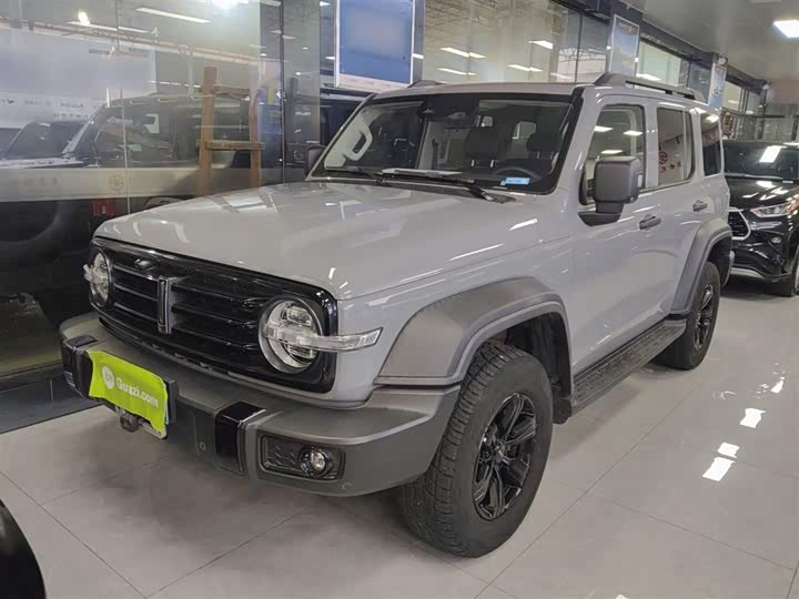 Фото 2 - Tank 300