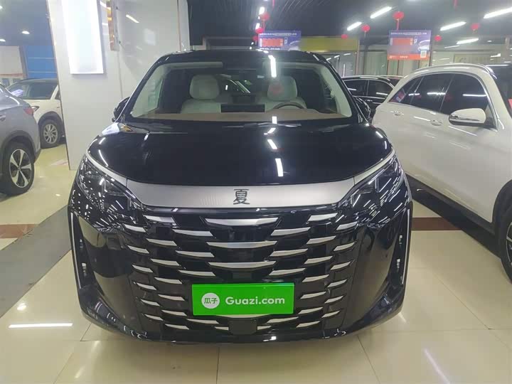 Фото 3 - BYD Xia