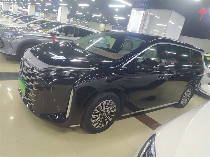 Фото 5 - BYD Xia