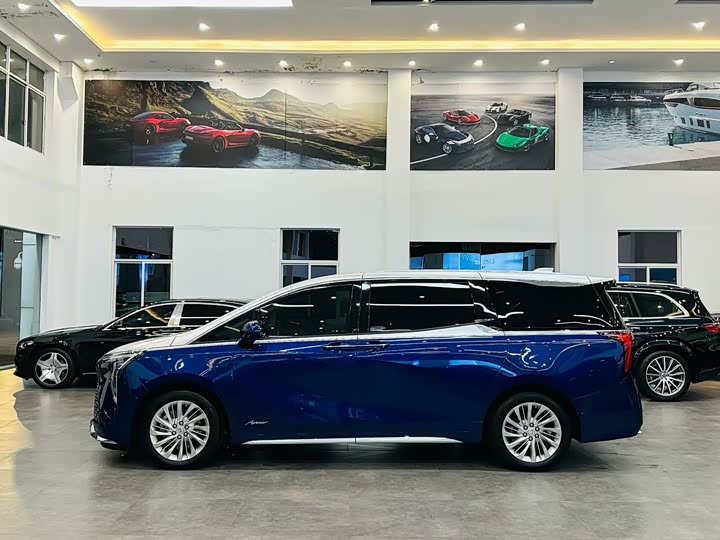 Фото 3 - Buick GL8 Century