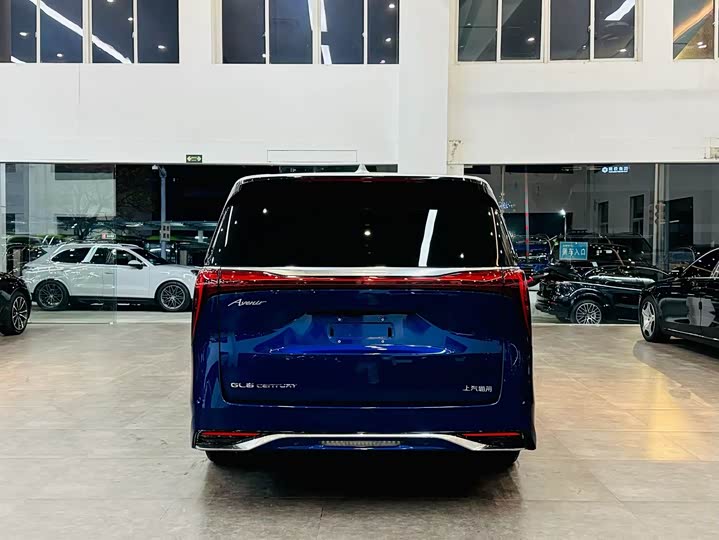 Фото 5 - Buick GL8 Century