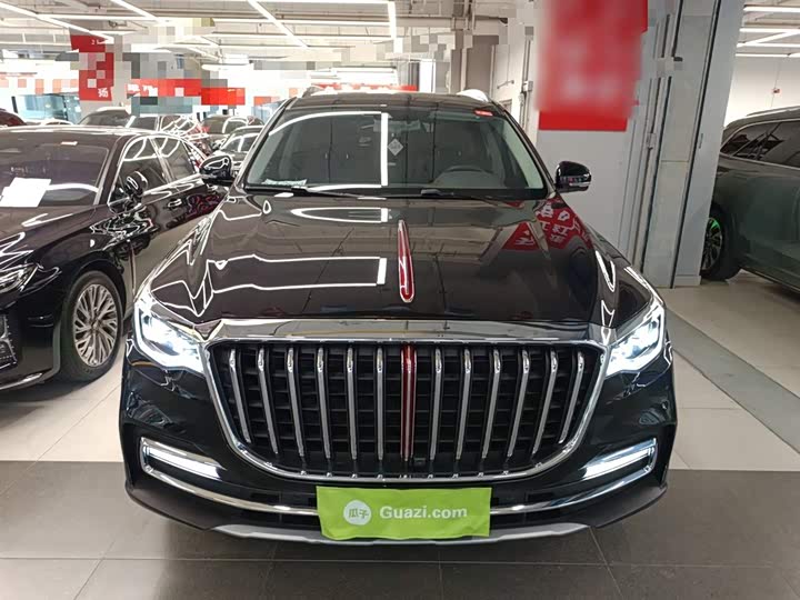 Фото 3 - Hongqi HS7