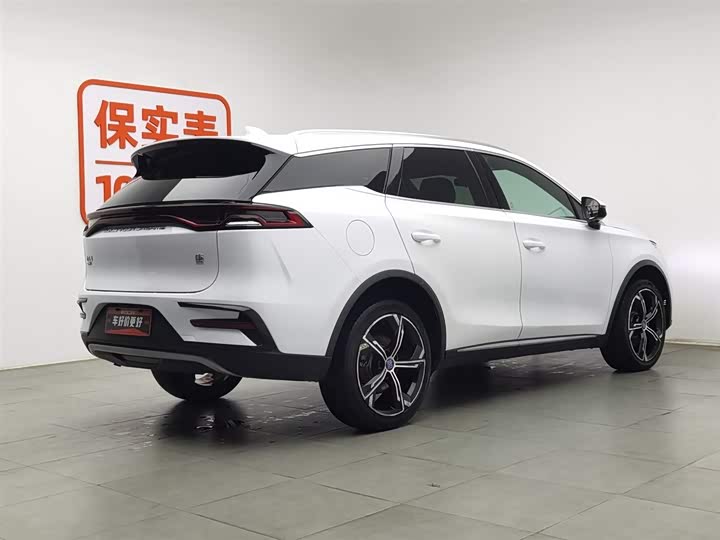 Фото 2 - BYD Tang Hybrid/EV