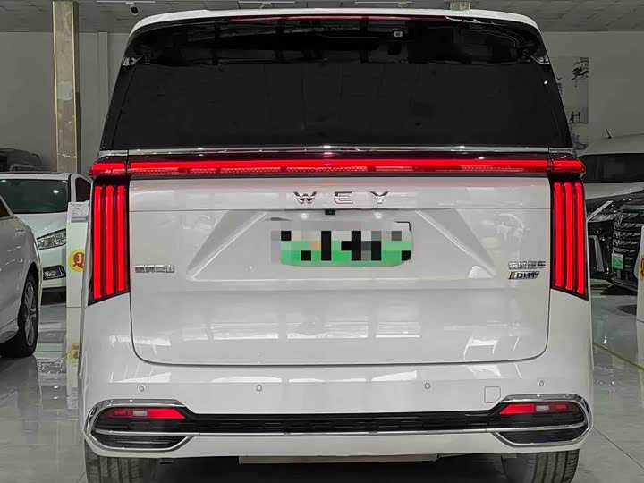 Фото 4 - Wey Gaoshan