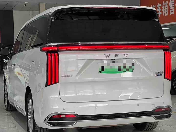 Фото 5 - Wey Gaoshan