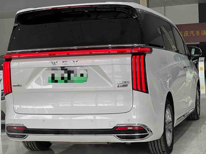 Фото 6 - Wey Gaoshan