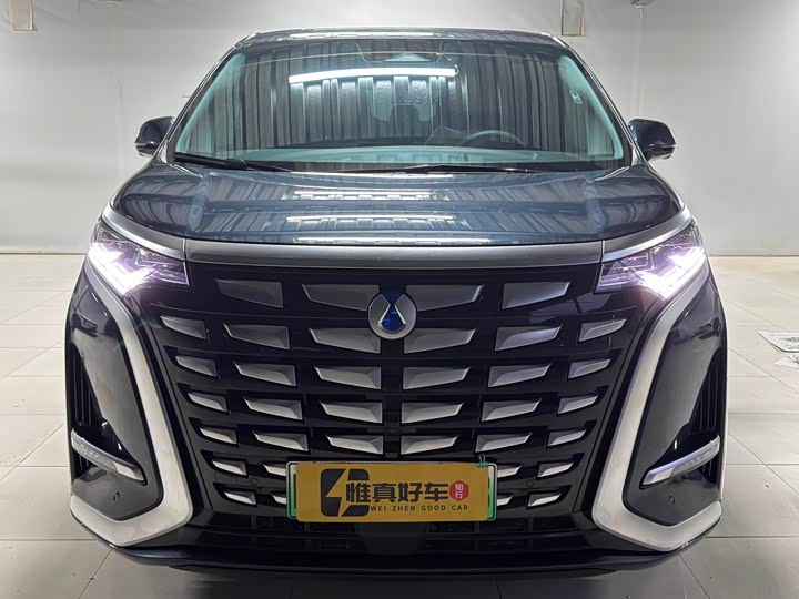 Фото 2 - Denza D9