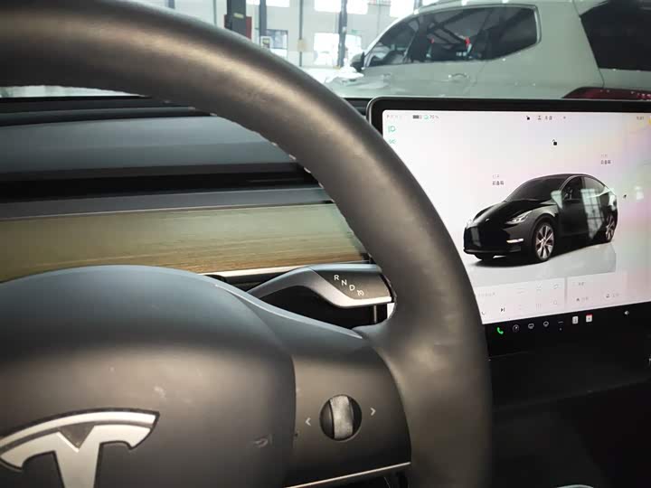 Фото 6 - Tesla Model Y