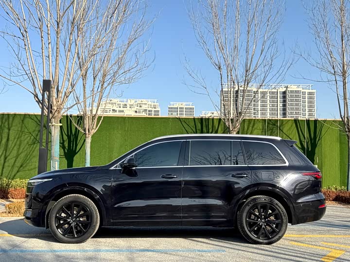 Фото 3 - LiXiang One