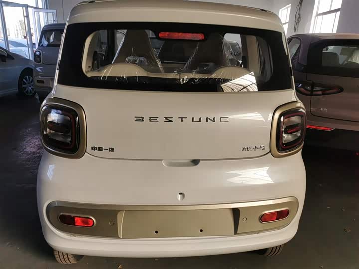 Фото 6 - Bestune Pony