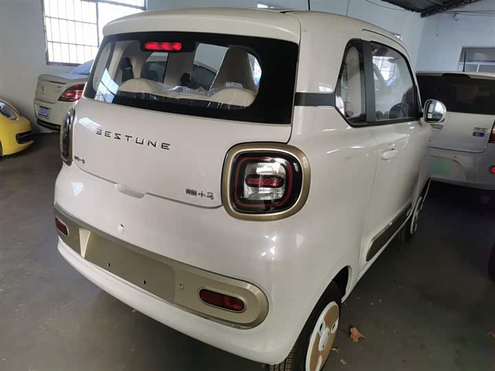 Фото 7 - Bestune Pony