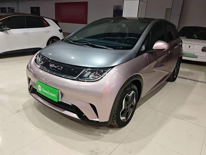 Фото 2 - BYD Dolphin