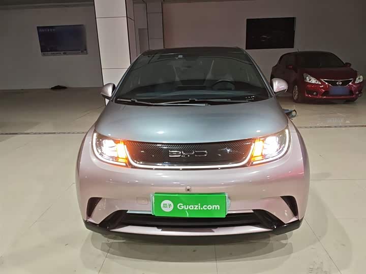 Фото 3 - BYD Dolphin