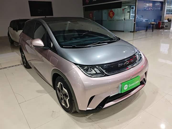 Фото 4 - BYD Dolphin