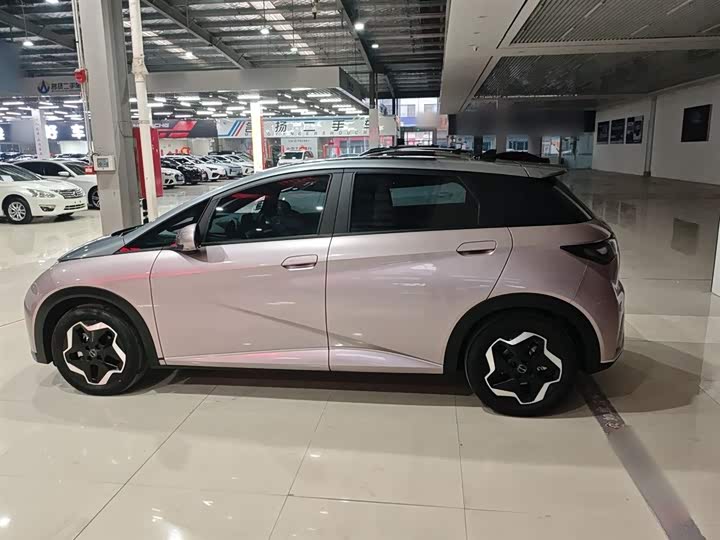 Фото 5 - BYD Dolphin