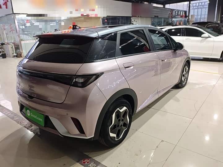 Фото 7 - BYD Dolphin