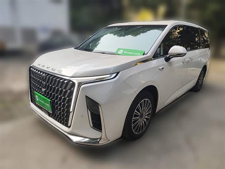 Фото 2 - Maxus G90